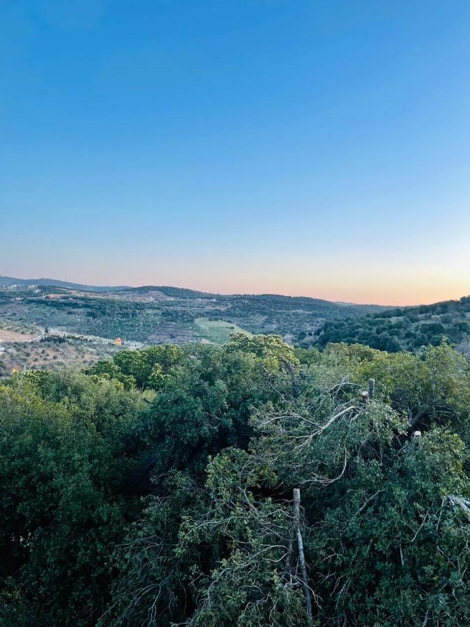 Evian Resort ‘Ajlūn Exteriör bild